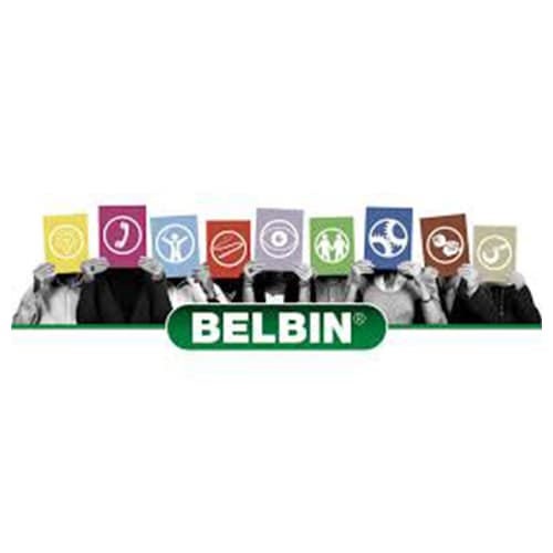 Accredited Belbin Team Roles practitioner badge for team effectiveness and leadership workshops in Dubai.